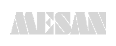 Mesan logo