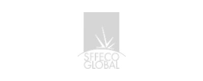 Seefco Global logo